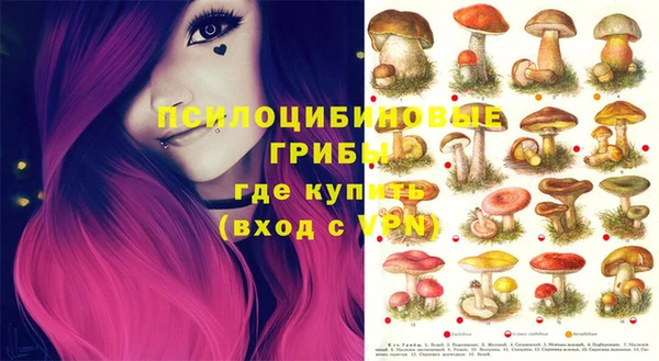 MESCALINE Кинешма