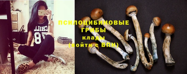 jwh Касимов