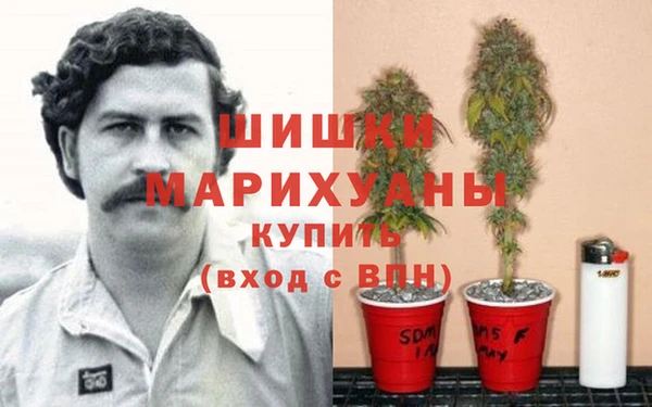 MESCALINE Кинешма