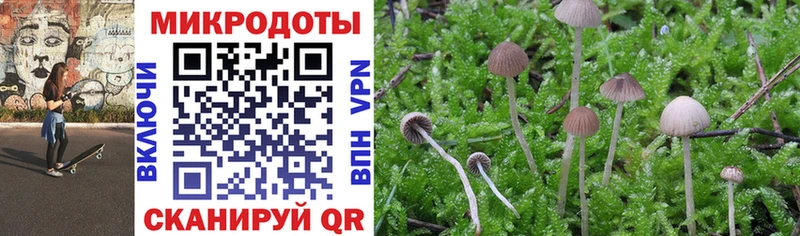 Купить закладки  Грязи  Псилоцибиновые грибы мицелий 